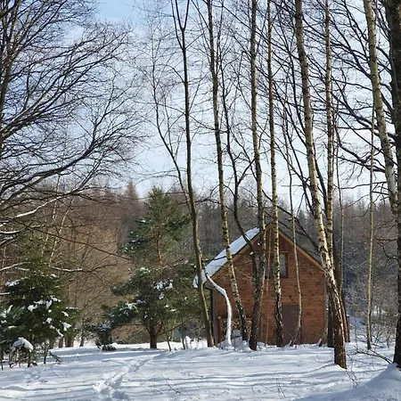 Na Panskiej Gorze Brzozow Exterior photo